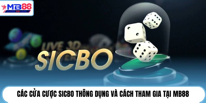 Các cửa cược Sicbo thông dụng và cách tham gia tại MB88