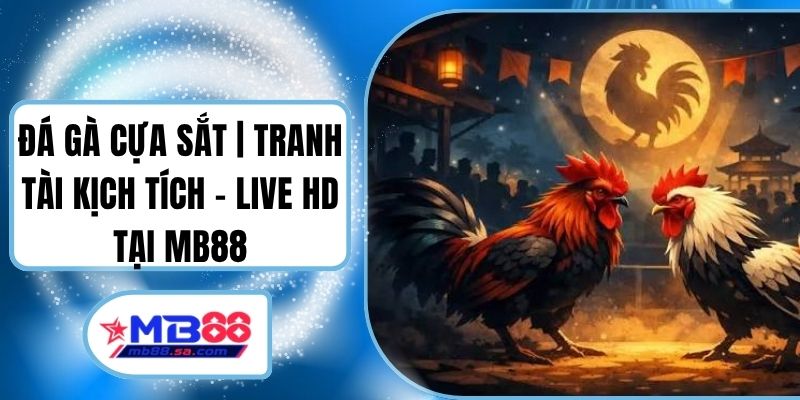 Đá Gà Cựa Sắt | Tranh Tài Kịch Tích - Live HD Tại MB88