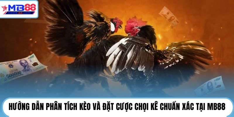 Hướng dẫn phân tích kèo và đặt cược chọi kê chuẩn xác tại MB88