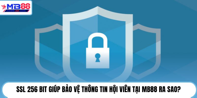 SSL 256 Bit giúp bảo vệ thông tin hội viên tại MB88 ra sao?