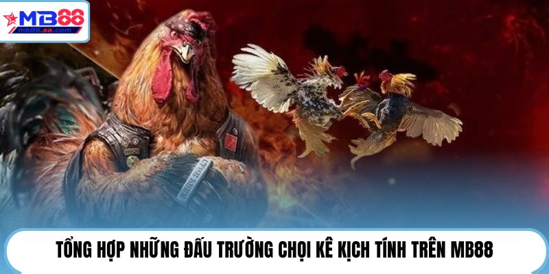 Tổng hợp những đấu trường chọi kê kịch tính trên MB88