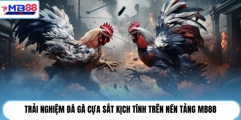 Trải nghiệm đá gà cựa sắt kịch tính trên nền tảng MB88